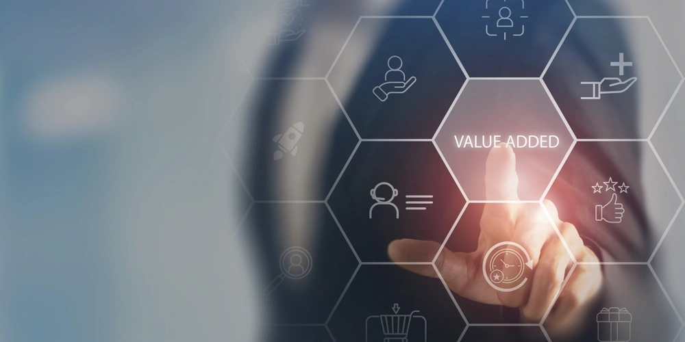 Value Added Healthcare Payer Services
